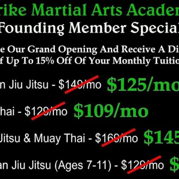 Strike Martial Arts Academy