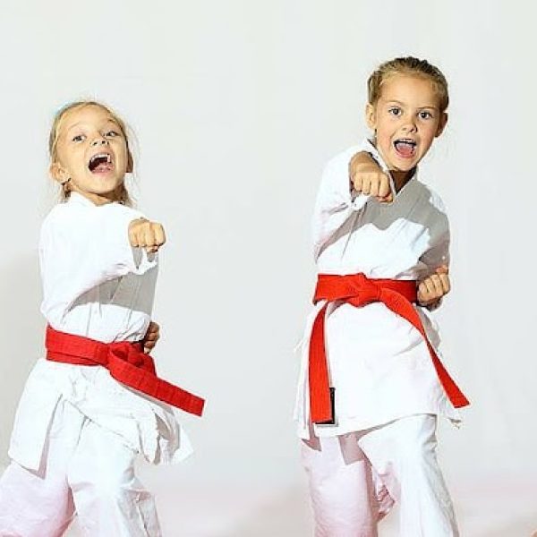 Martial Arts Advantage