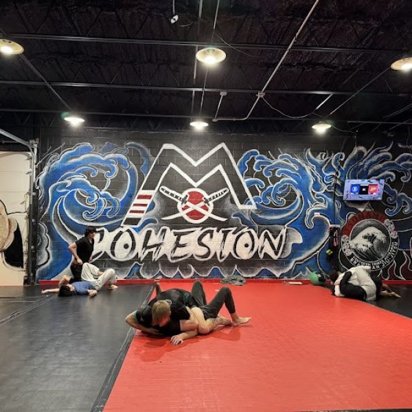 Cohesion Training Academy