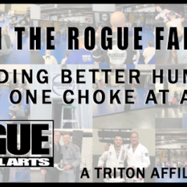 Rogue Martial Arts & Fitness